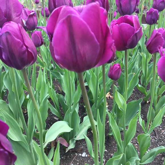 Meet your Posher, Karen - Picture 1 of 17